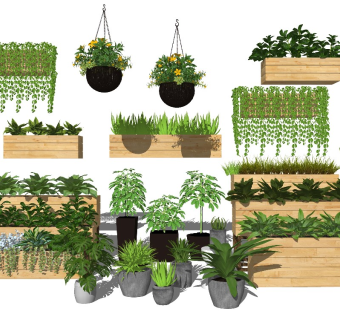 现代简约盆栽植物su模型